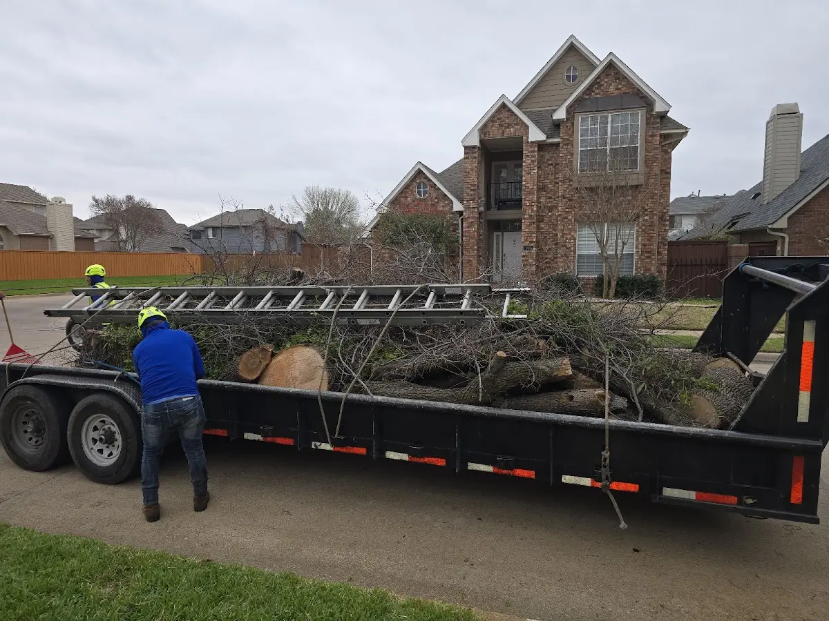 Expert Tree Removal with proper safety equipment in Spruce Pine